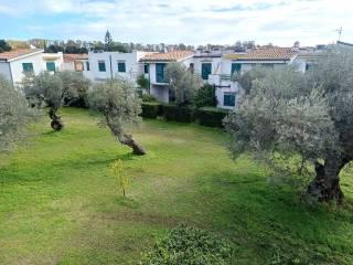 Trilocale Località Taverna, Sant'Andrea Apostolo dello Ionio — foto 17 di 18