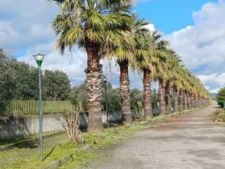 Trilocale Località Taverna, Sant'Andrea Apostolo dello Ionio — foto 2 di 18