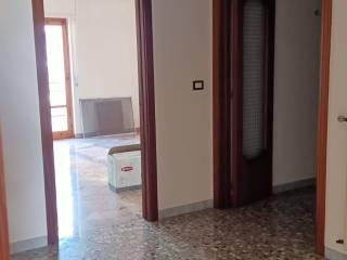 Quadrilocale via Giovanni Bovio 317, Bisceglie — foto 12 di 19