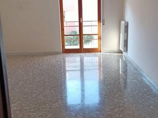 Quadrilocale via Giovanni Bovio 317, Bisceglie — foto 18 di 19