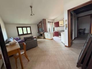 Villa unifamiliare via Giuseppe Verdi 2, Centro, Castell'Arquato — foto 5 di 29