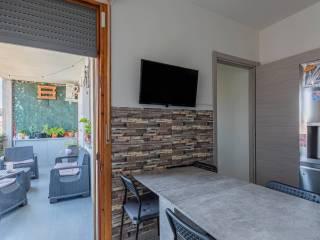 Trilocale piazza Guglielmo Marconi 10, Centro, Lesignano de' Bagni — foto 21 di 27