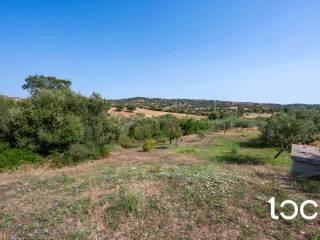Villa plurifamiliare 260 m², Siniscola — foto 36 di 44