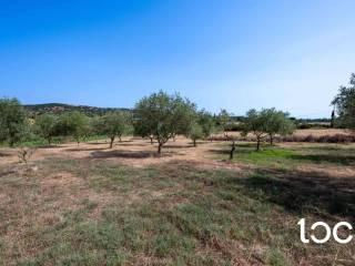 Villa plurifamiliare 260 m², Siniscola — foto 11 di 44