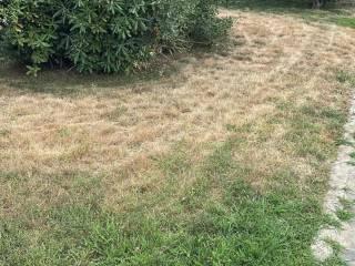 Quadrilocale viale dei Gelsomini 13, Pinetamare, Castel Volturno — foto 13 di 13