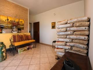 Villa bifamiliare Strada Ponte Alto Ponte Spino 10, Portomaggiore — foto 8 di 37