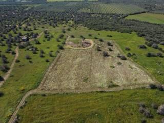 Villa unifamiliare Strada Comunale   62, Avetrana — foto 14 di 41