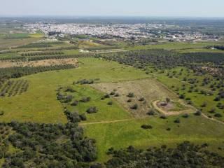 Villa unifamiliare Strada Comunale   62, Avetrana — foto 20 di 41