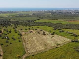 Villa unifamiliare Strada Comunale   62, Avetrana — foto 18 di 41