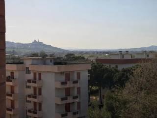 Attico viale Cristoforo Colombo 49, Scossicci, Porto Recanati — foto 7 di 17