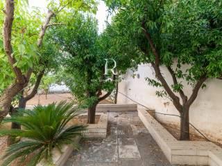Terratetto unifamiliare 209 m², buono stato, Via Ludovico, Corso Umberto I, Vittorio Emanuele, Ostuni — foto 16 di 63