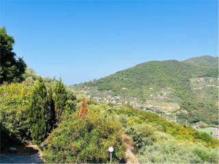 Villa unifamiliare salita Madonnetta, Centro, Recco — foto 34 di 49