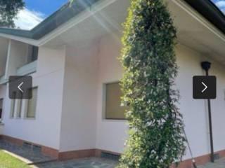Villa unifamiliare ottimo stato, Forte dei Marmi — foto 17 di 17
