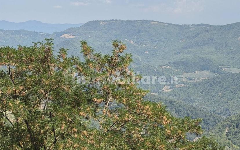 Casale via delle Cavallaie, Migliana, Cantagallo — foto 31 di 49