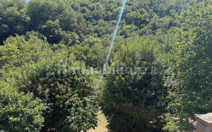 Casale via delle Cavallaie, Migliana, Cantagallo — foto 48 di 49