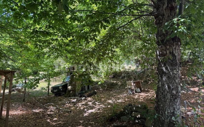 Casale via delle Cavallaie, Migliana, Cantagallo — foto 30 di 49