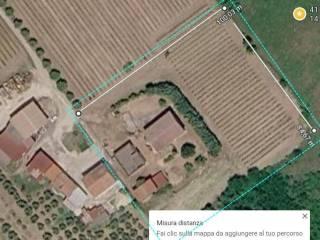 Villa bifamiliare Colonna Madama 1, Venticano — foto 12 di 14