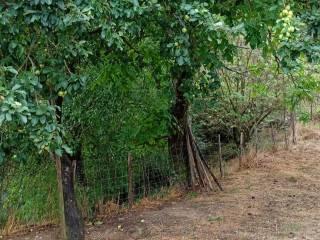 Villa unifamiliare Contrada Casale San Giuliano, Muro Lucano — foto 4 di 8