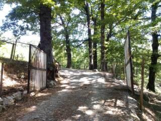 Villa unifamiliare Contrada Casale San Giuliano, Muro Lucano — foto 7 di 8