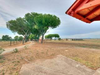 Casale Strada Chirichea, Monterazzano, Viterbo — foto 23 di 25