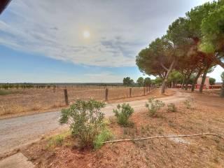 Casale Strada Chirichea, Monterazzano, Viterbo — foto 16 di 25