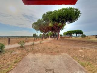 Casale Strada Chirichea, Monterazzano, Viterbo — foto 6 di 25