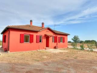Casale Strada Chirichea, Monterazzano, Viterbo — foto 7 di 25