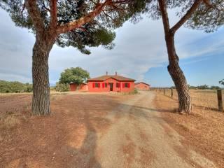 Casale Strada Chirichea, Monterazzano, Viterbo — foto 10 di 25