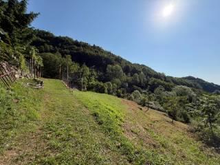 Terratetto unifamiliare Strada Provinciale Campogrosso 510, Recoaro Terme — foto 19 di 23