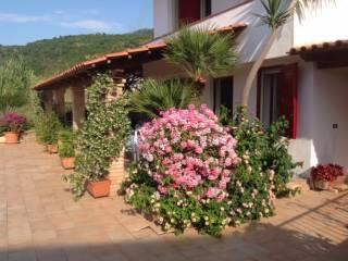 Appartamento in villa Ss522, Parghelia — foto 6 di 11