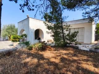 Villa unifamiliare viale delle Ginestre 14, Selva di Fasano, Laureto, Fasano — foto 35 di 54