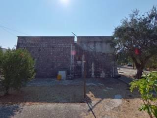 Villa unifamiliare viale delle Ginestre 14, Selva di Fasano, Laureto, Fasano — foto 3 di 54
