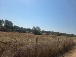Villa unifamiliare Strada Trullo Longo, Sava — foto 4 di 14