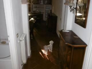 Villa bifamiliare, ottimo stato, 85 m², Centro, Fauglia — foto 11 di 19