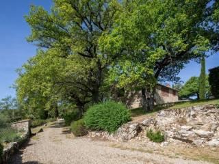 Rustico Località Nittardi, Castellina in Chianti — foto 50 di 52