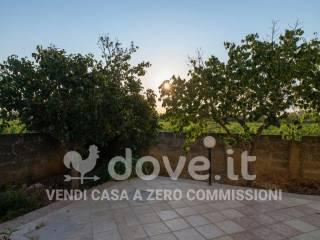 Villa unifamiliare via Porticella snc, Avetrana — foto 10 di 76