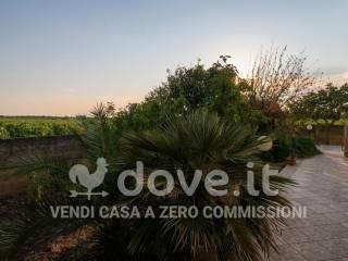 Villa unifamiliare via Porticella snc, Avetrana — foto 50 di 76