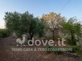 Villa unifamiliare via Porticella snc, Avetrana — foto 62 di 76