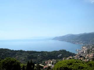 Appartamento via Vincenzo Monti, Ruta, Camogli — foto 33 di 34