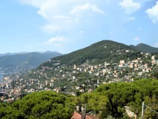 Appartamento via Vincenzo Monti, Ruta, Camogli — foto 2 di 34