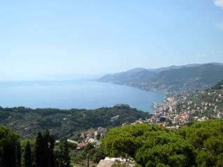 Appartamento via Vincenzo Monti, Ruta, Camogli — foto 24 di 34