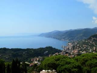 Appartamento via Vincenzo Monti, Ruta, Camogli — foto 4 di 34