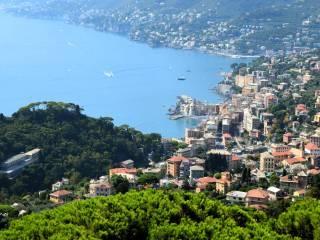 Appartamento via Vincenzo Monti, Ruta, Camogli — foto 7 di 34