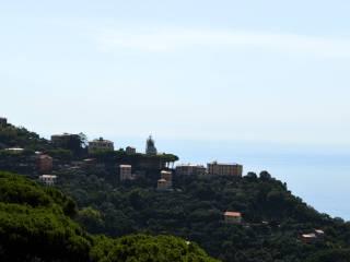 Appartamento via Vincenzo Monti, Ruta, Camogli — foto 32 di 34