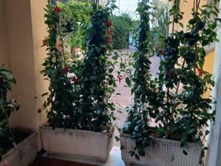 Villa bifamiliare via delle Allodole traversa 7 13, Scaro Reggio Scornavacca Vardano, Fiumefreddo Bruzio — foto 4 di 10