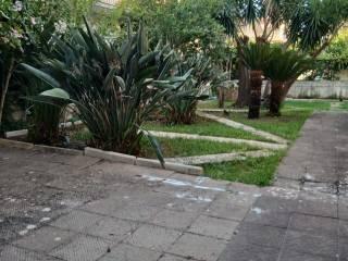 Villa bifamiliare via delle Allodole traversa 7 13, Scaro Reggio Scornavacca Vardano, Fiumefreddo Bruzio — foto 3 di 10