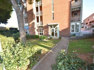 Quadrilocale Musselburgh, Rosignano Solvay, Rosignano Marittimo — foto 12 di 15