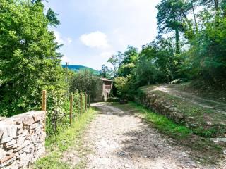 Bilocale via Panicale, Centro, Buti — foto 9 di 19