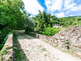 Bilocale via Panicale, Centro, Buti — foto 10 di 19
