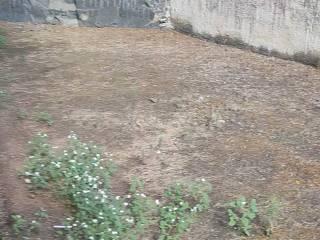 Appartamento in villa via Poggio del Lupo 129, San Nullo - Sebastiano Catania, Catania — foto 19 di 20